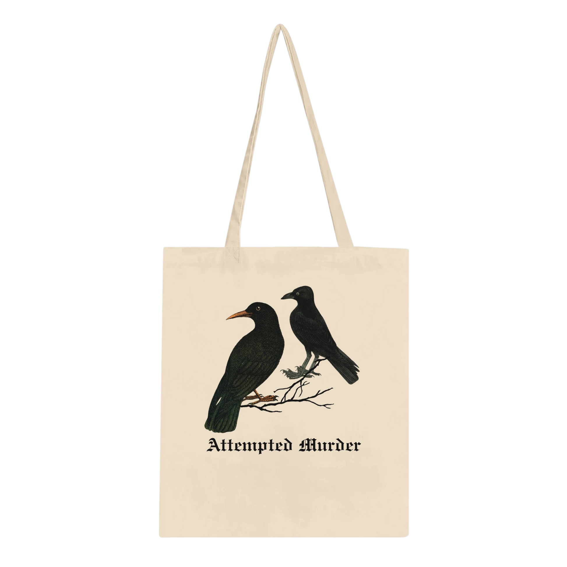 91cc20d3-9237-423c-9bc0-377038c93613